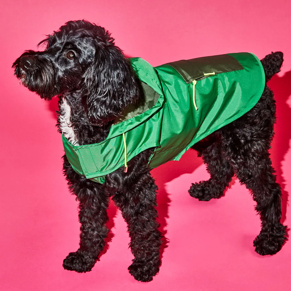 WARE OF THE DOG | Colorblock Anorak Raincoat in Green/Olive