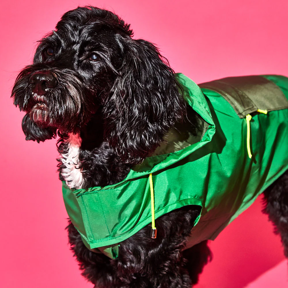 WARE OF THE DOG | Colorblock Anorak Raincoat in Green/Olive - Image 2