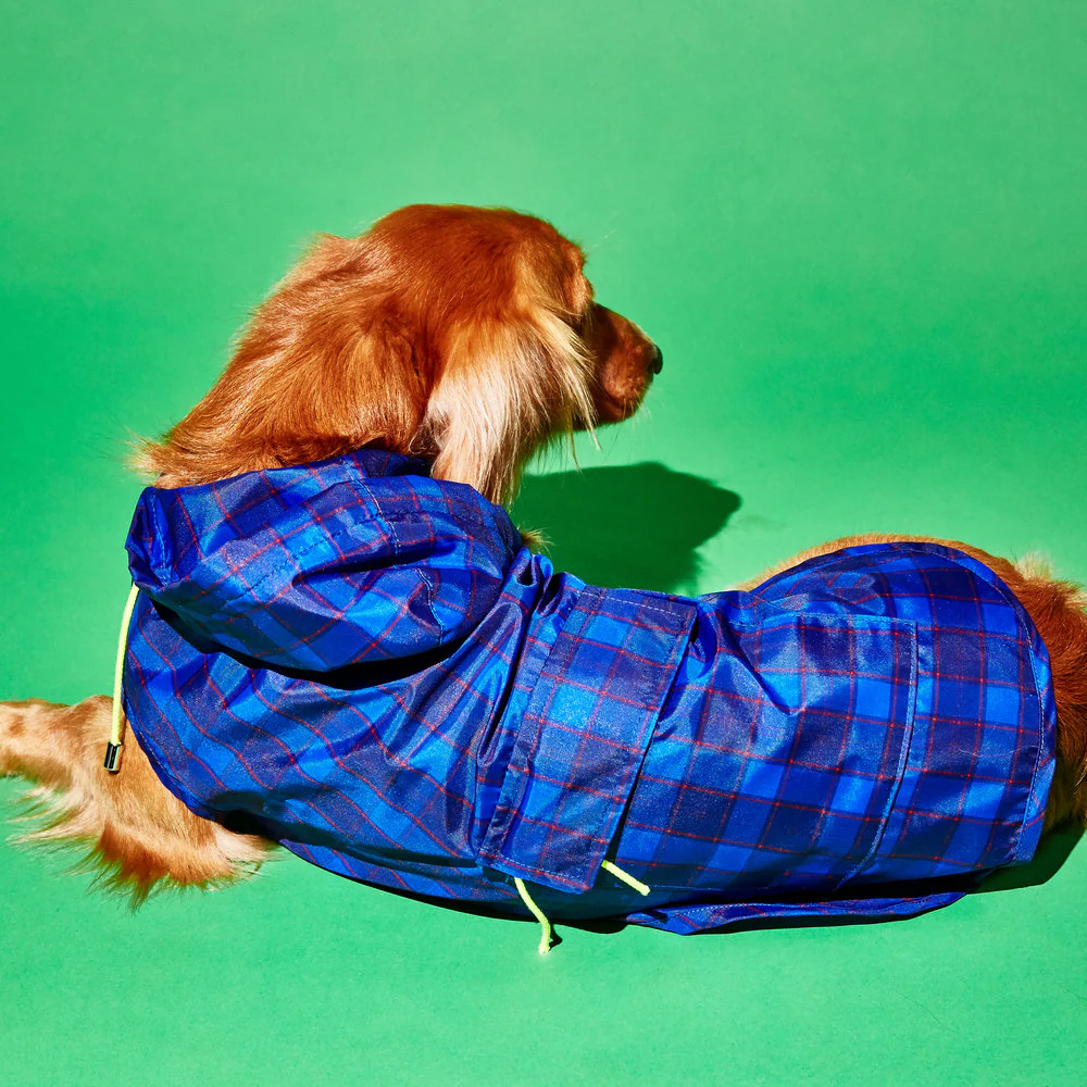 WARE OF THE DOG | Plaid Anorak Raincoat in Purple/Multi - Image 3