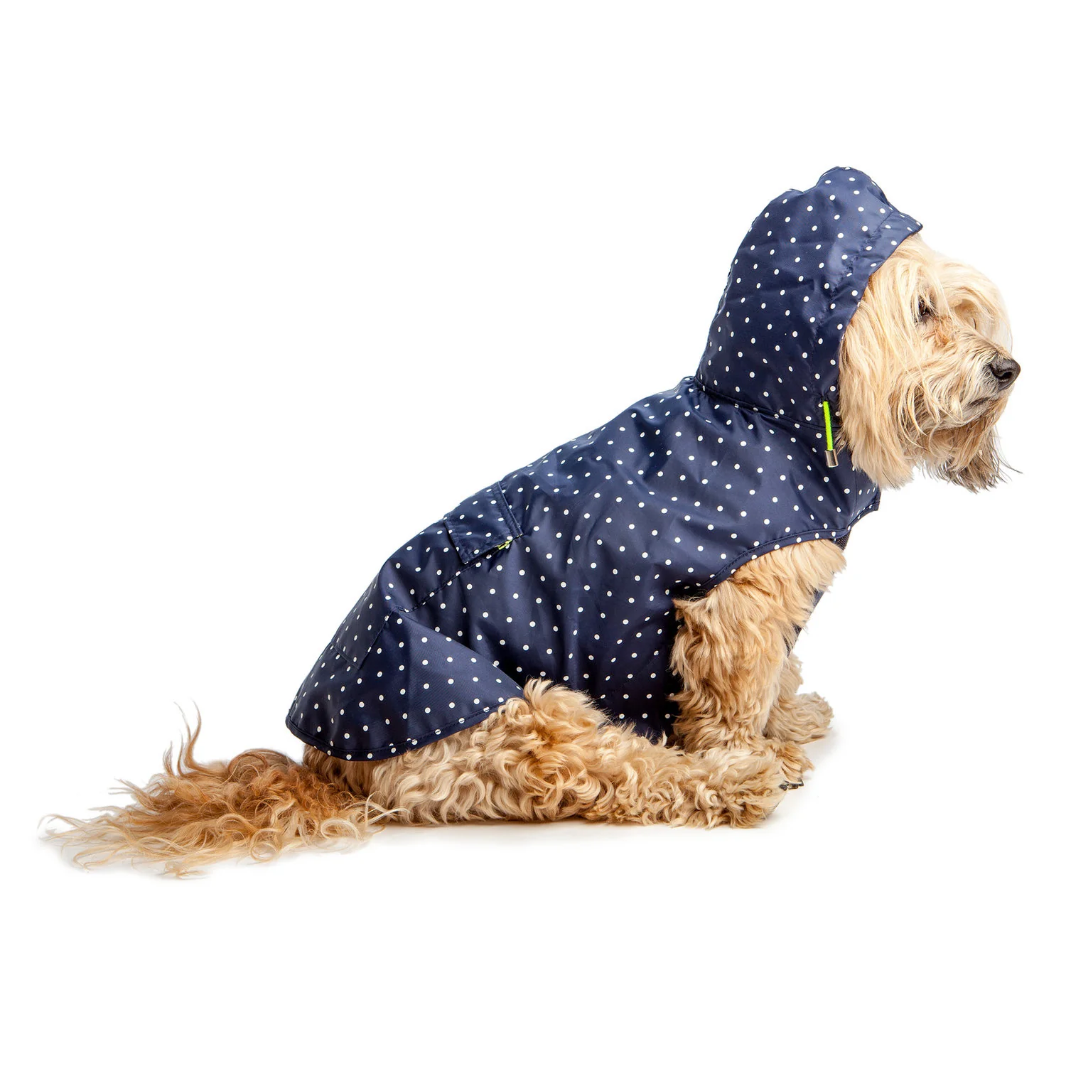 WARE OF THE DOG | Polka Dot Anorak Raincoat in Navy - Image 2