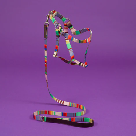 Striped Webbing Leash - Image 4