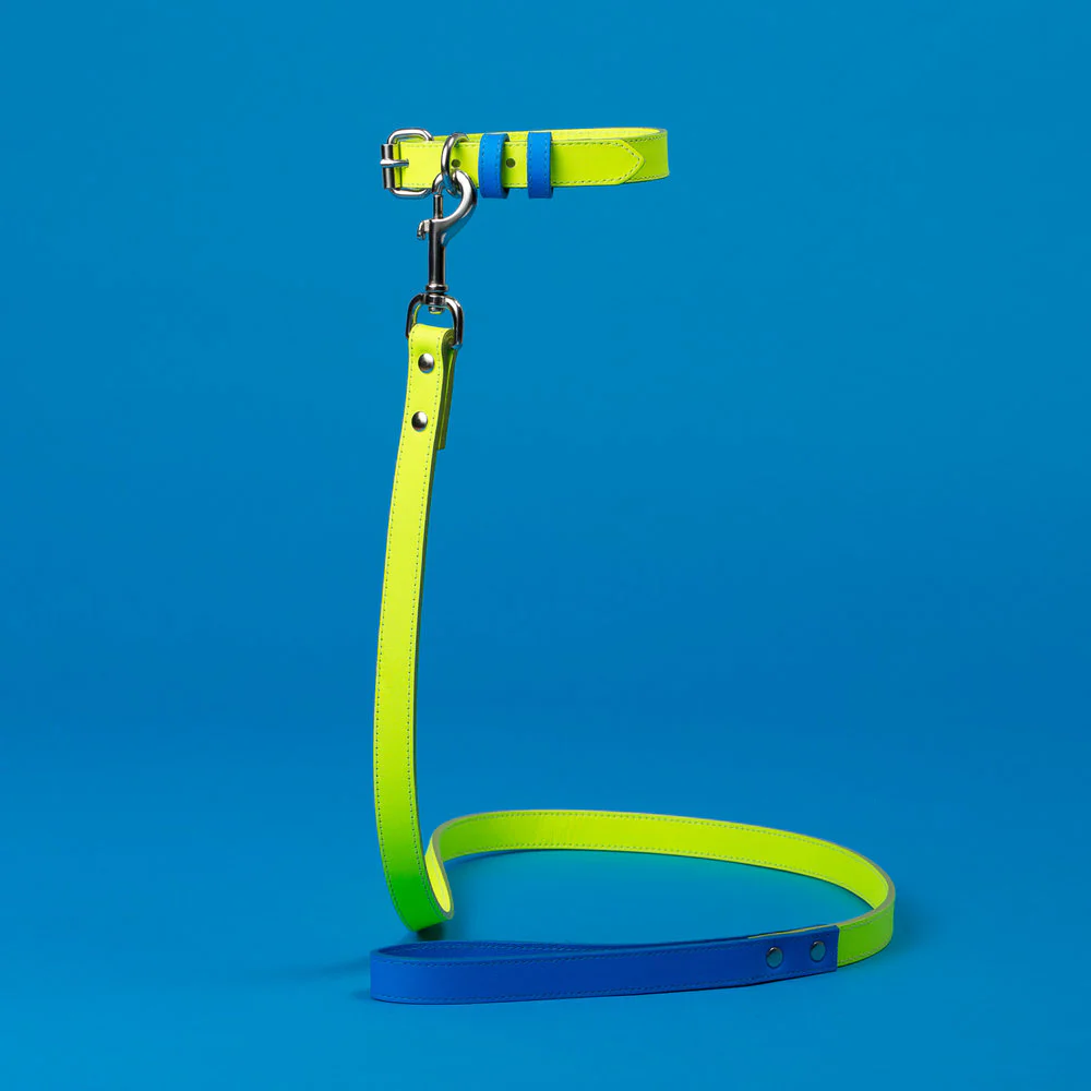 WARE of the DOG | Two Tone Leather Collar in Yellow / Blue
