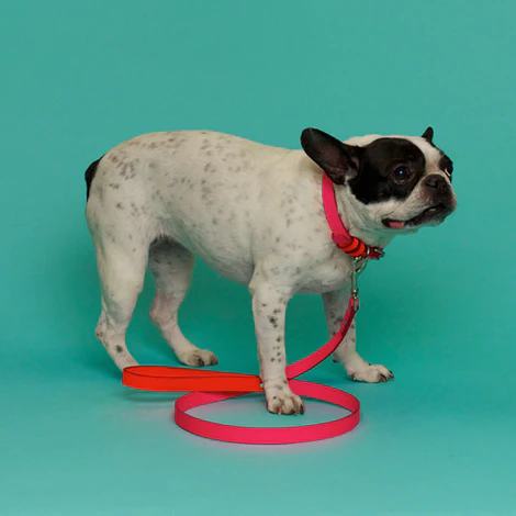 WARE of the DOG | Two Tone Leather Leash in Pink / Orange - Image 2
