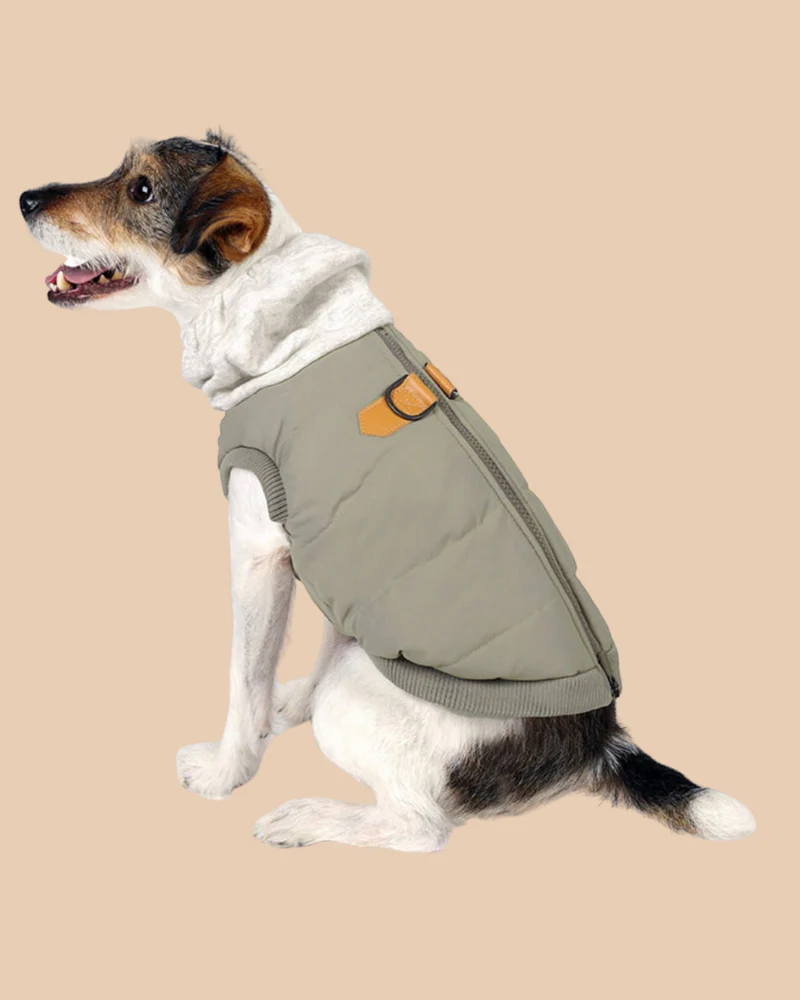 Warm Up Harness Jacket in Beige