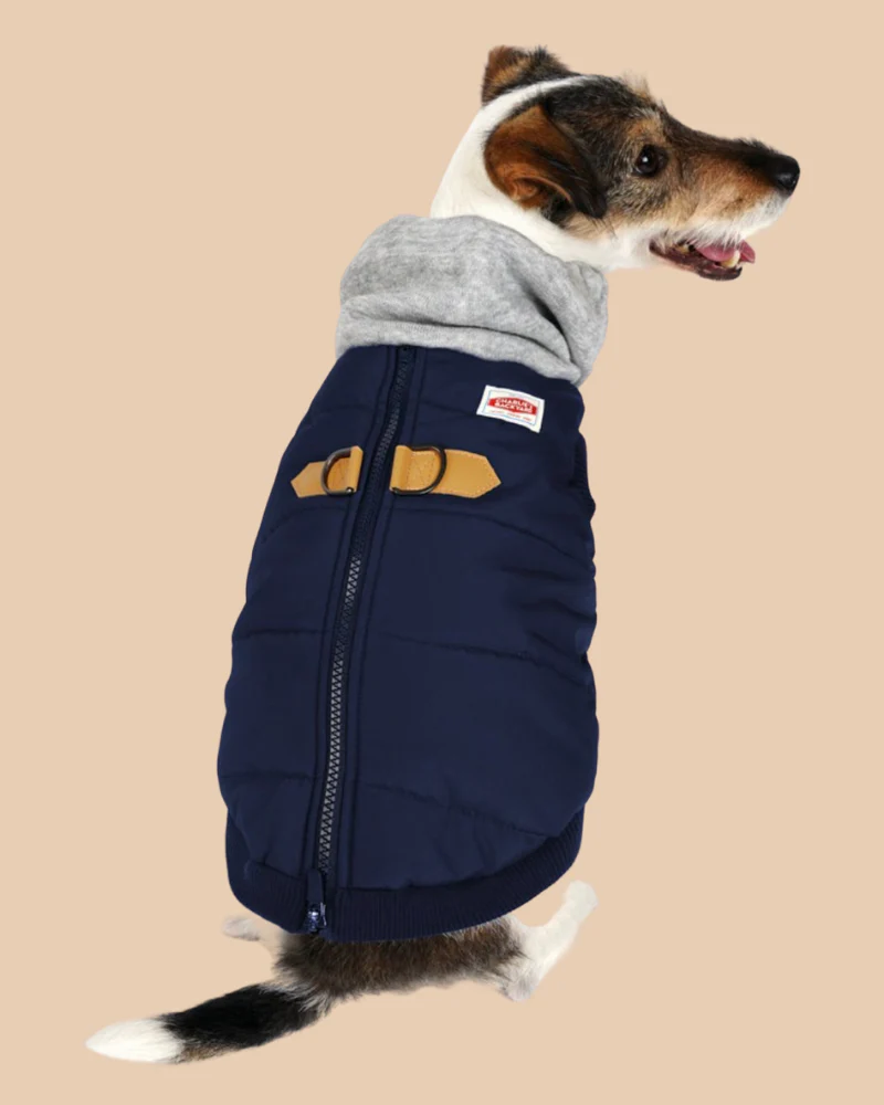 Warm Up Harness Jacket in Navy<br>((FINAL SALE)) - Image 3