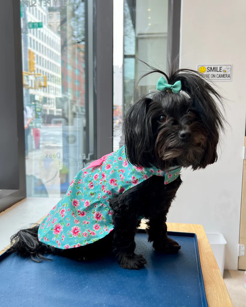Watercolor Floral Dog Dress (FINAL SALE)