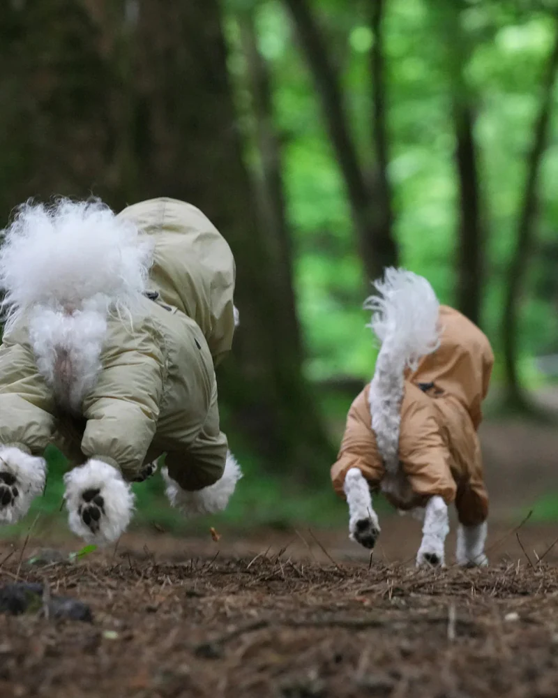 Waterproof Air Coverall for Dogs - Image 6