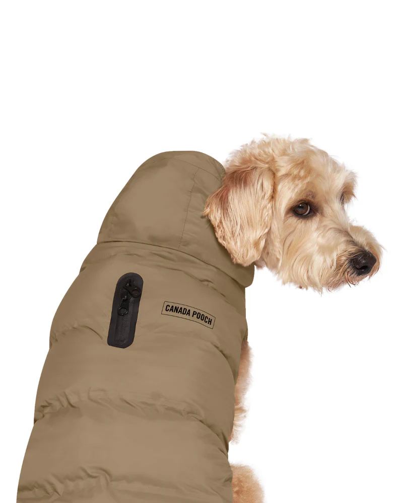 Insulated Waterproof Dog Puffer in Tan (FINAL SALE) - Image 7
