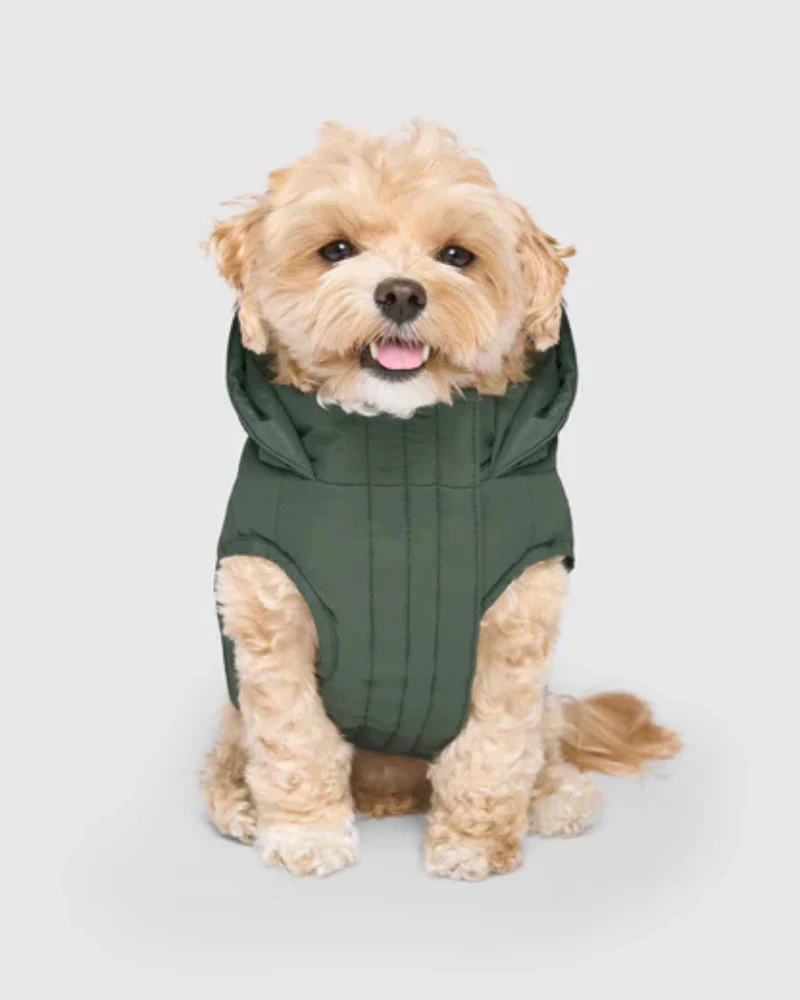 Waterproof Dog Puffer in Forest Green (FINAL SALE) - Image 2
