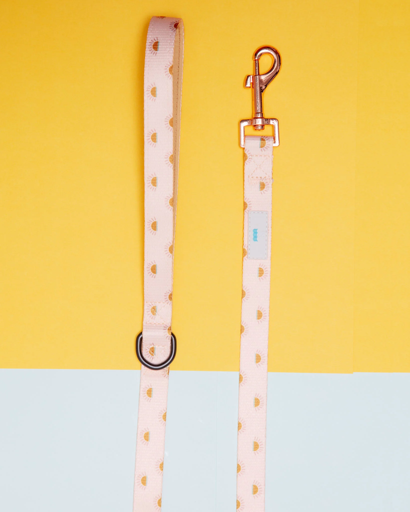 Nylon Dog Lead in Joshua Tree Print