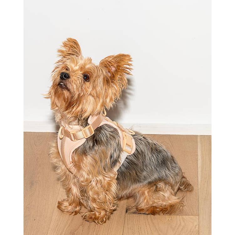 Cushioned Dog Harness in Tan << FINAL SALE >> - Image 4