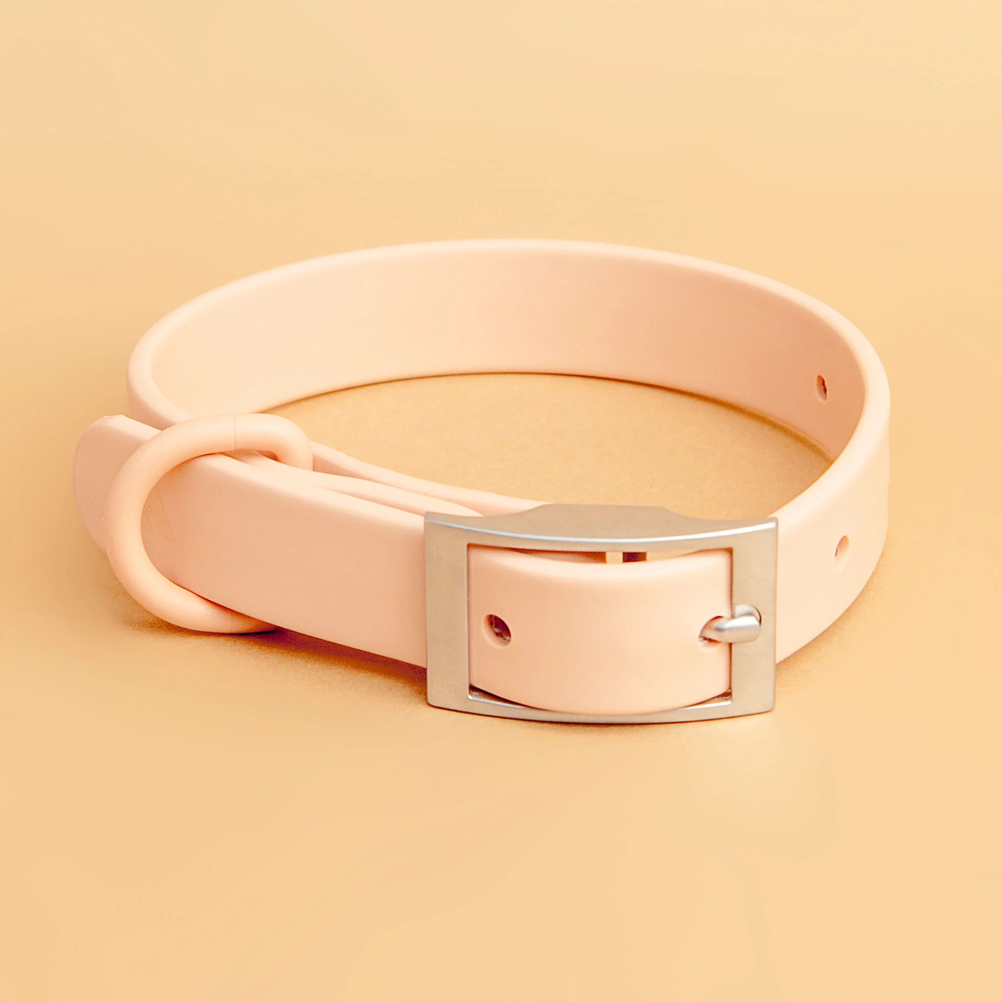 Modern Dog Collar in Blush << CLEARANCE >> - Image 7