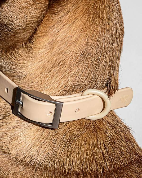 Modern Dog Collar in Tan << FINAL SALE >> - Image 3