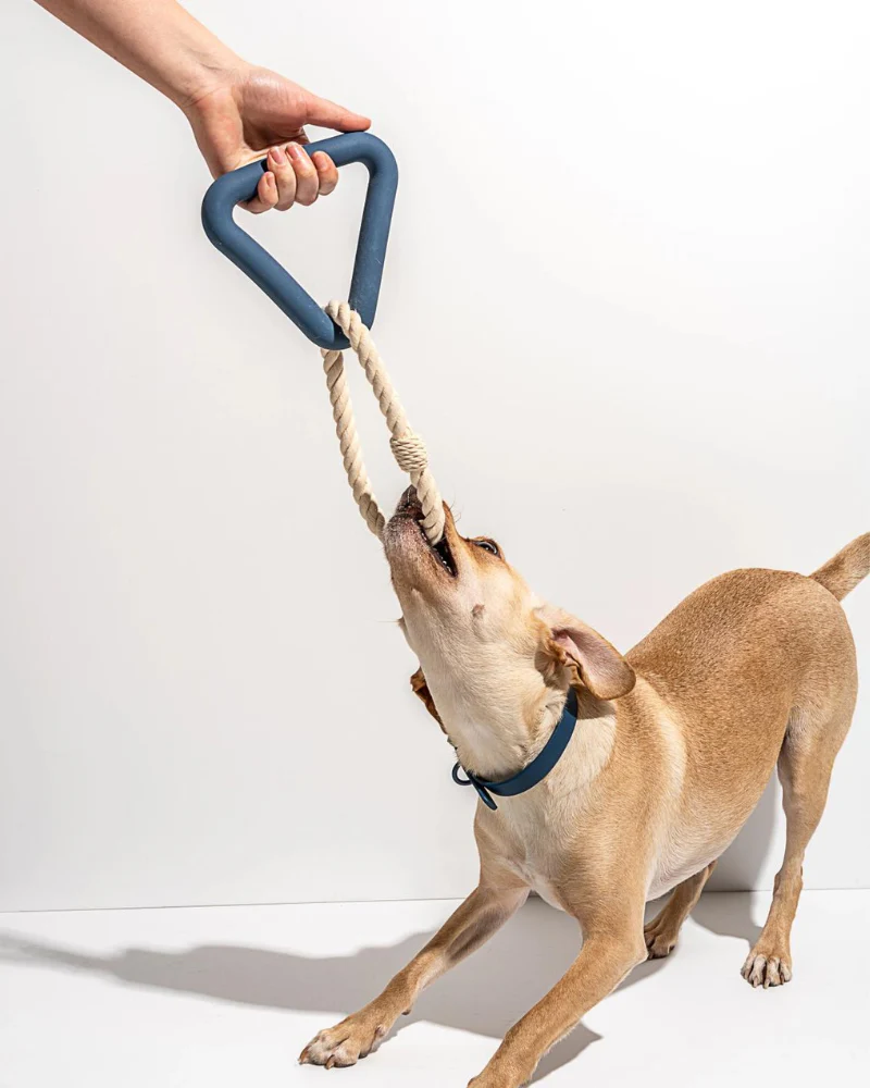 Triangle Dog Tug Toy - Image 13