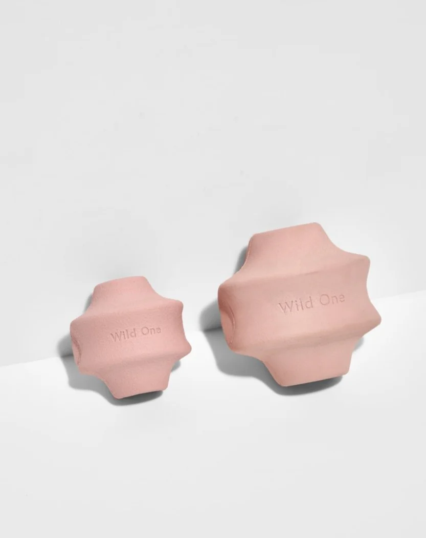 Twist Toss Dog Toy in Blush