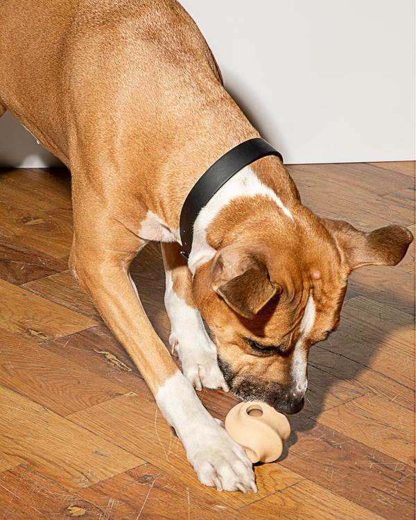 Twist Toss Dog Toy in Tan - Image 3