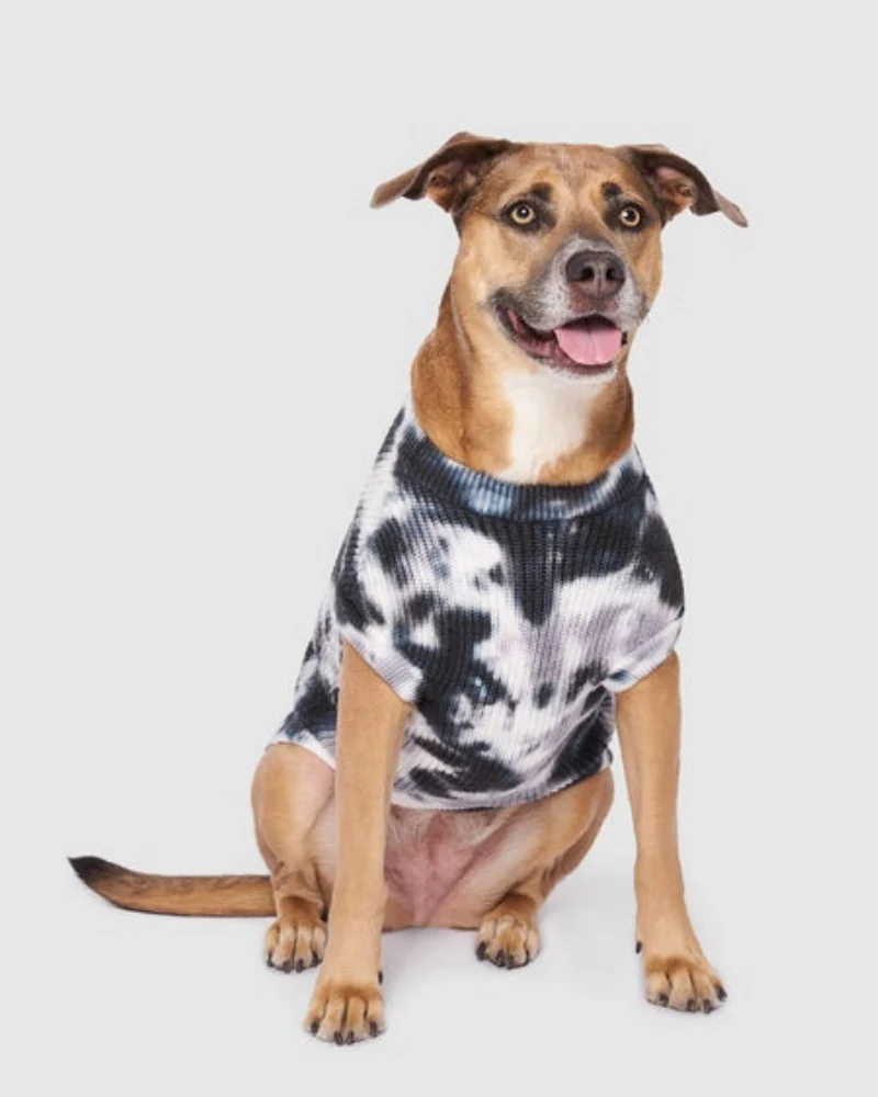 Wild Side Tie-Dye Dog Sweater << FINAL SALE >>