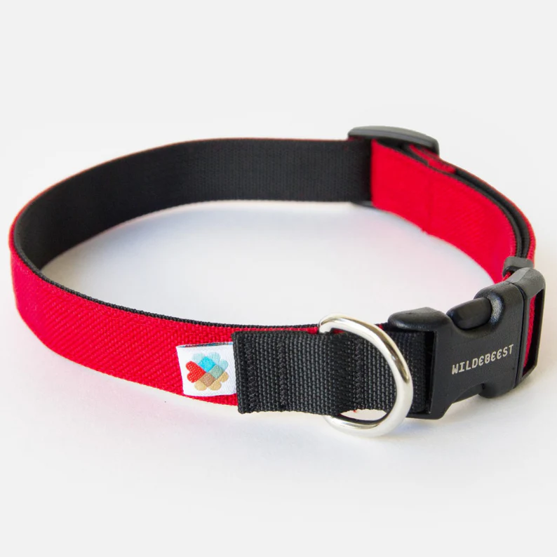 Funston Dog Collar in Red - Image 2