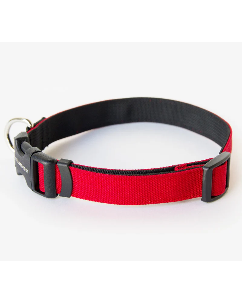 Funston Dog Collar in Red - Image 3