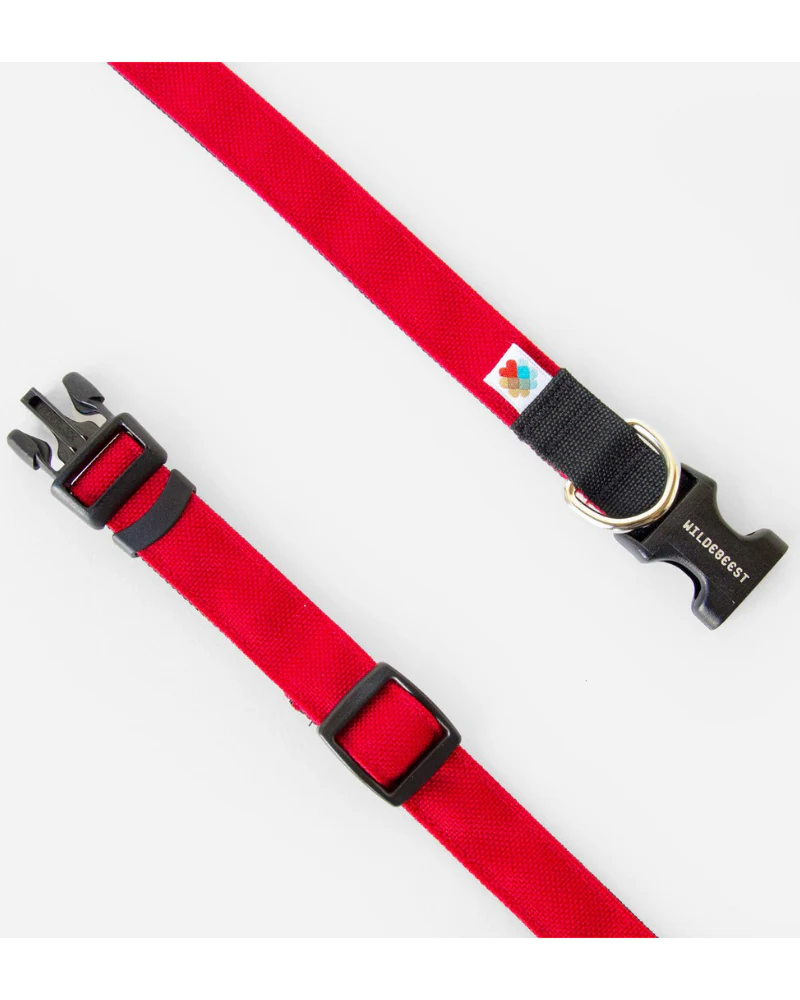 Funston Dog Collar in Red - Image 4