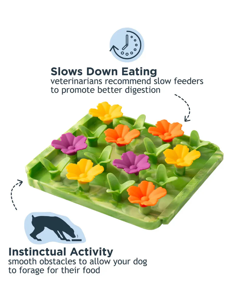 Wildflower Foraging Mat For Dogs - Image 2