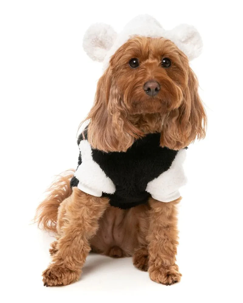 Winnie Dog Hoodie in Panda (FINAL SALE)