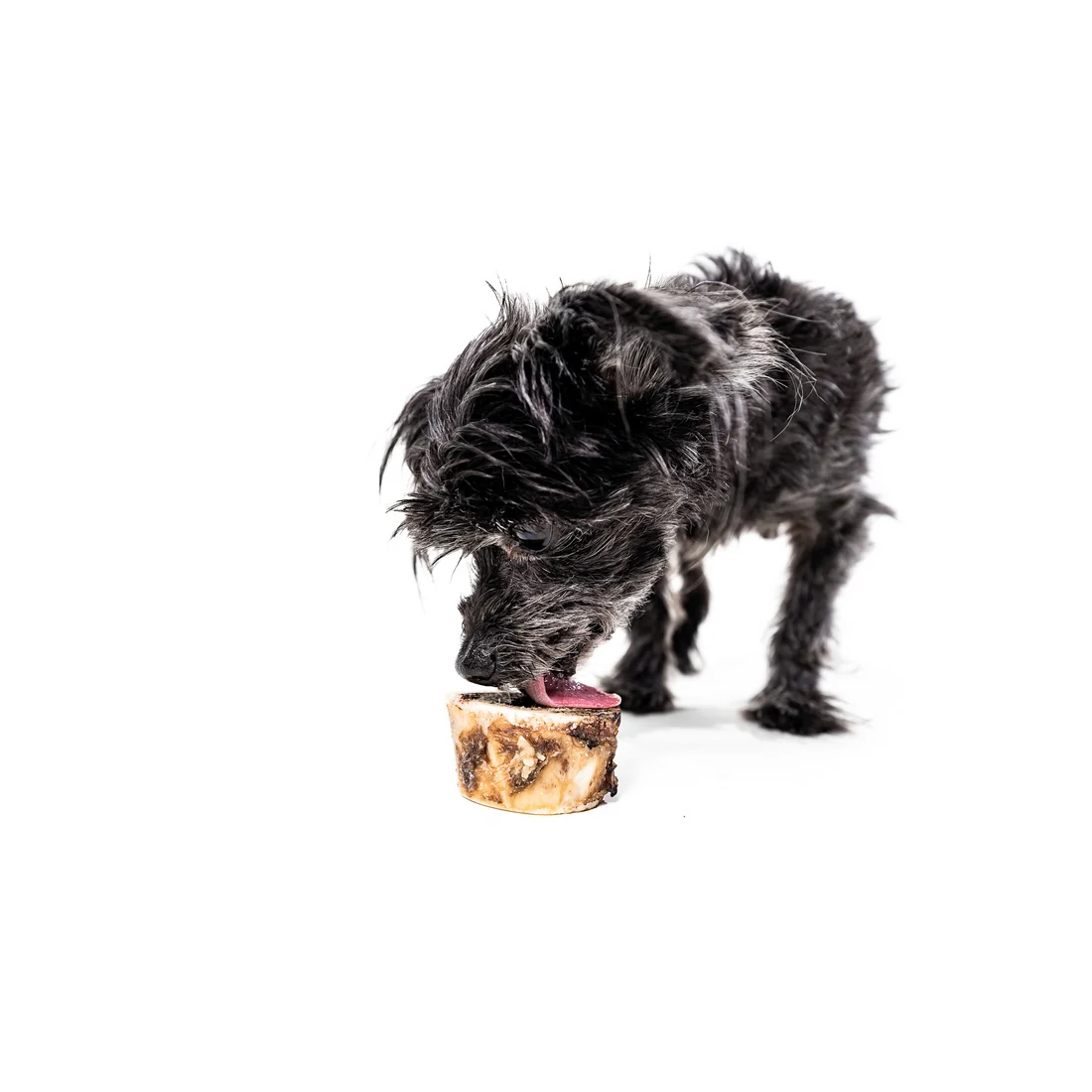 Bison Marrow Long-Lasting Chew Bones - Image 11