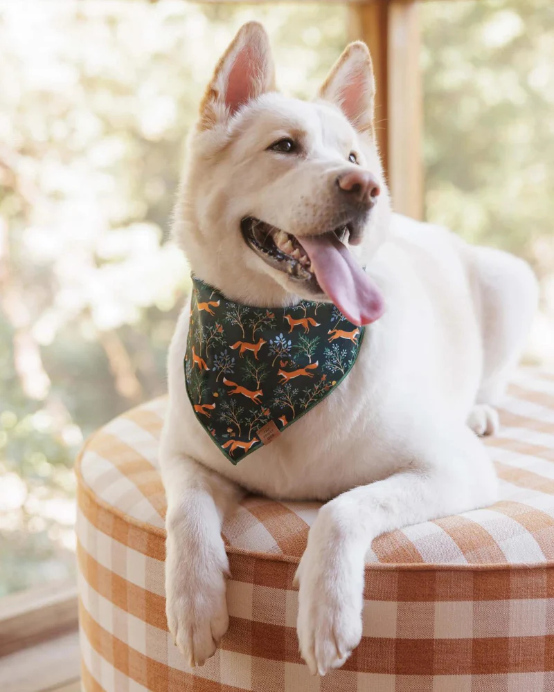 Woodland Fox Dog Bandana (Made in the USA) - Image 3