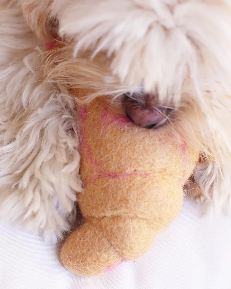 Wool Croissant Dog Toy - Image 3