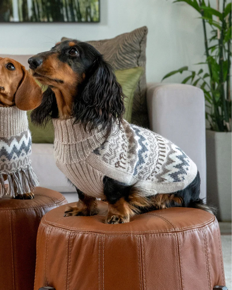 Wooly Winter Alpaca Dog Sweater - Image 3