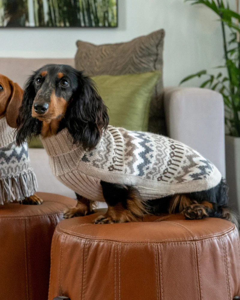 Wooly Winter Alpaca Dog Sweater - Image 4