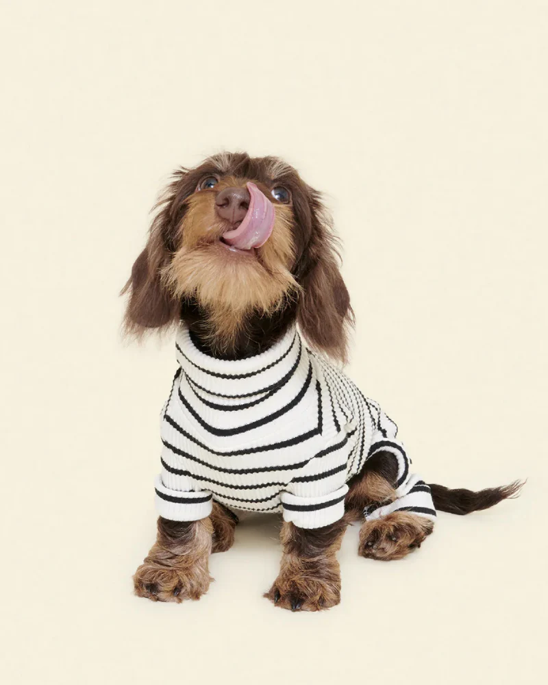 World's Your Oyster Dog Onesie - Image 2