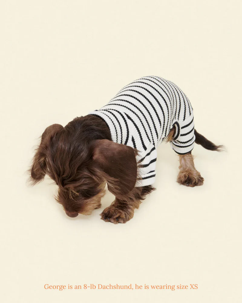 World's Your Oyster Dog Onesie - Image 4