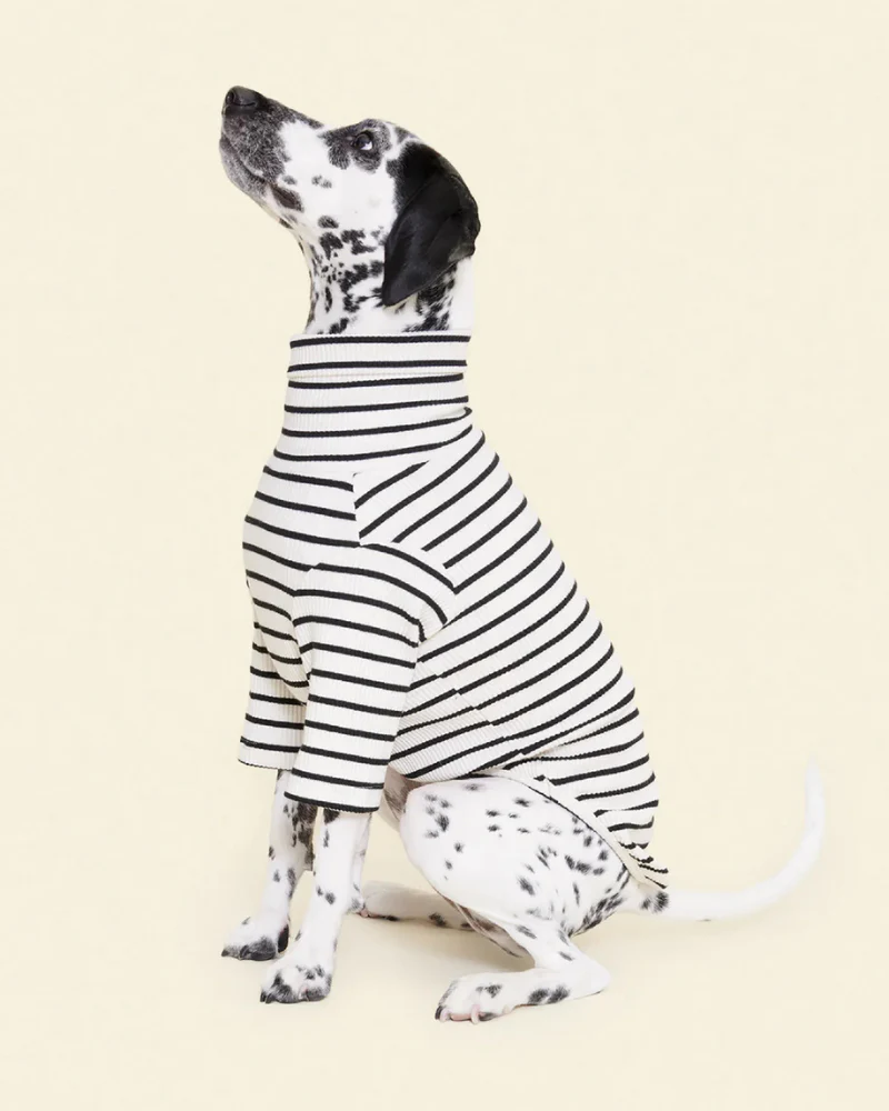 World's Your Oyster Dog Pullover Shirt
