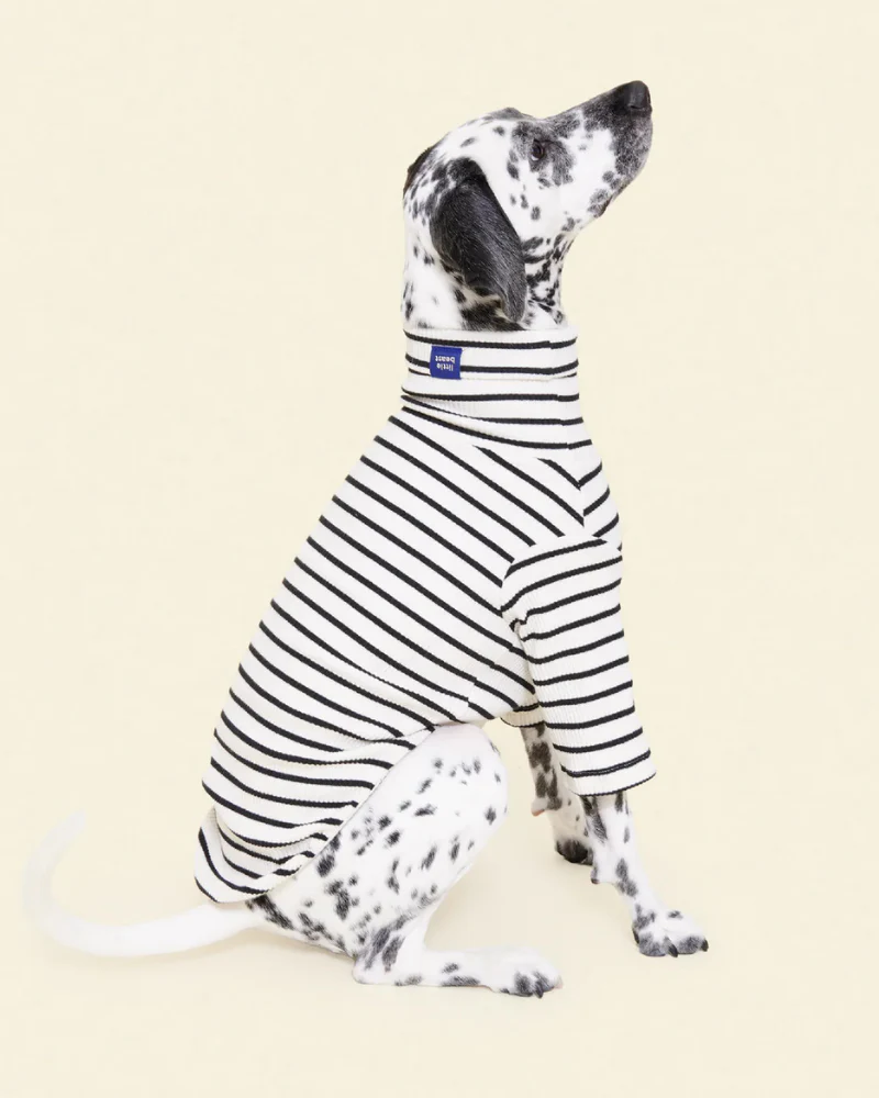 World's Your Oyster Dog Pullover Shirt - Image 3