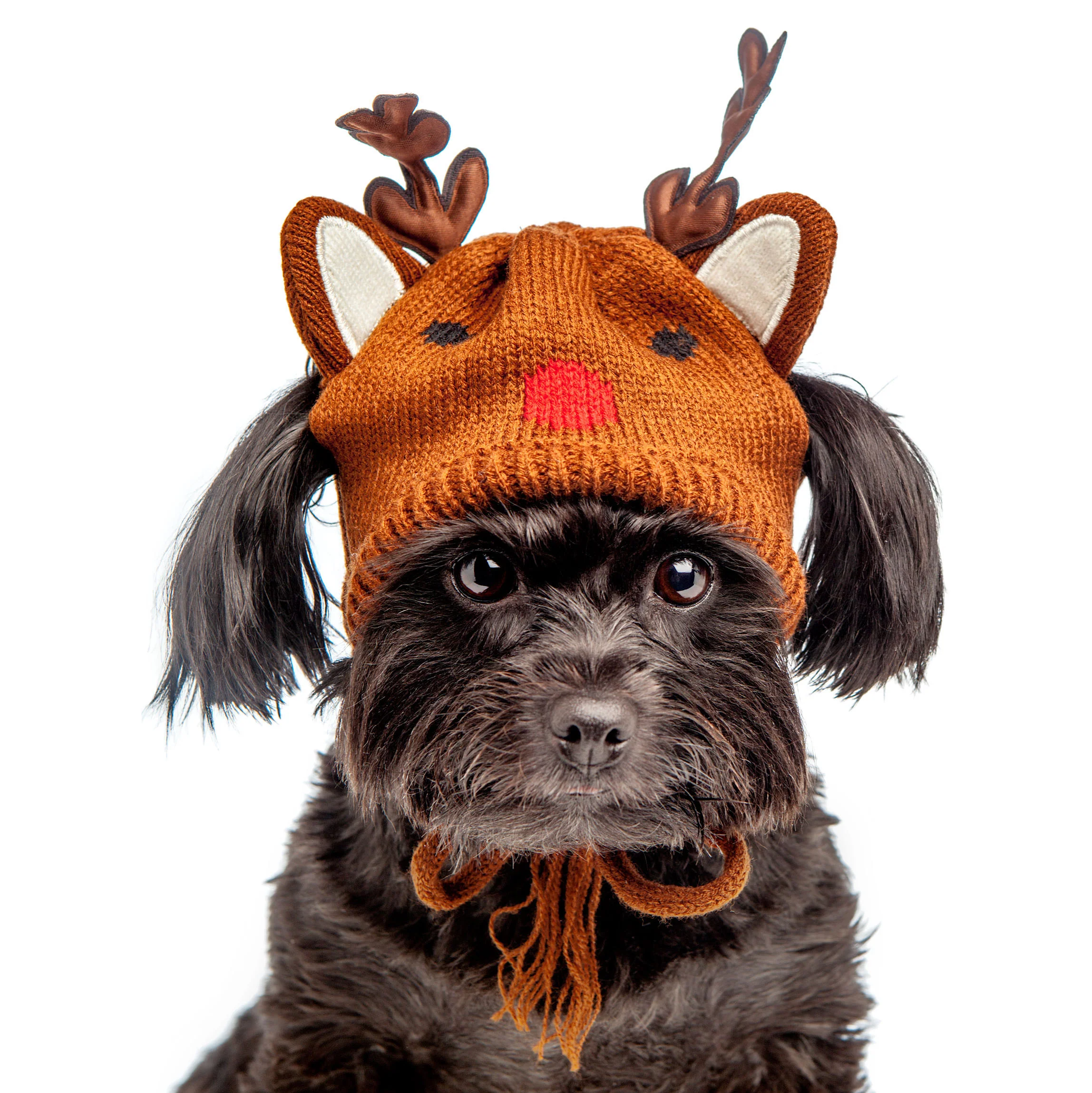 WORTHY DOG | Reindeer Hat