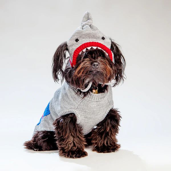 WORTHY DOG | Shark Hat - Image 4