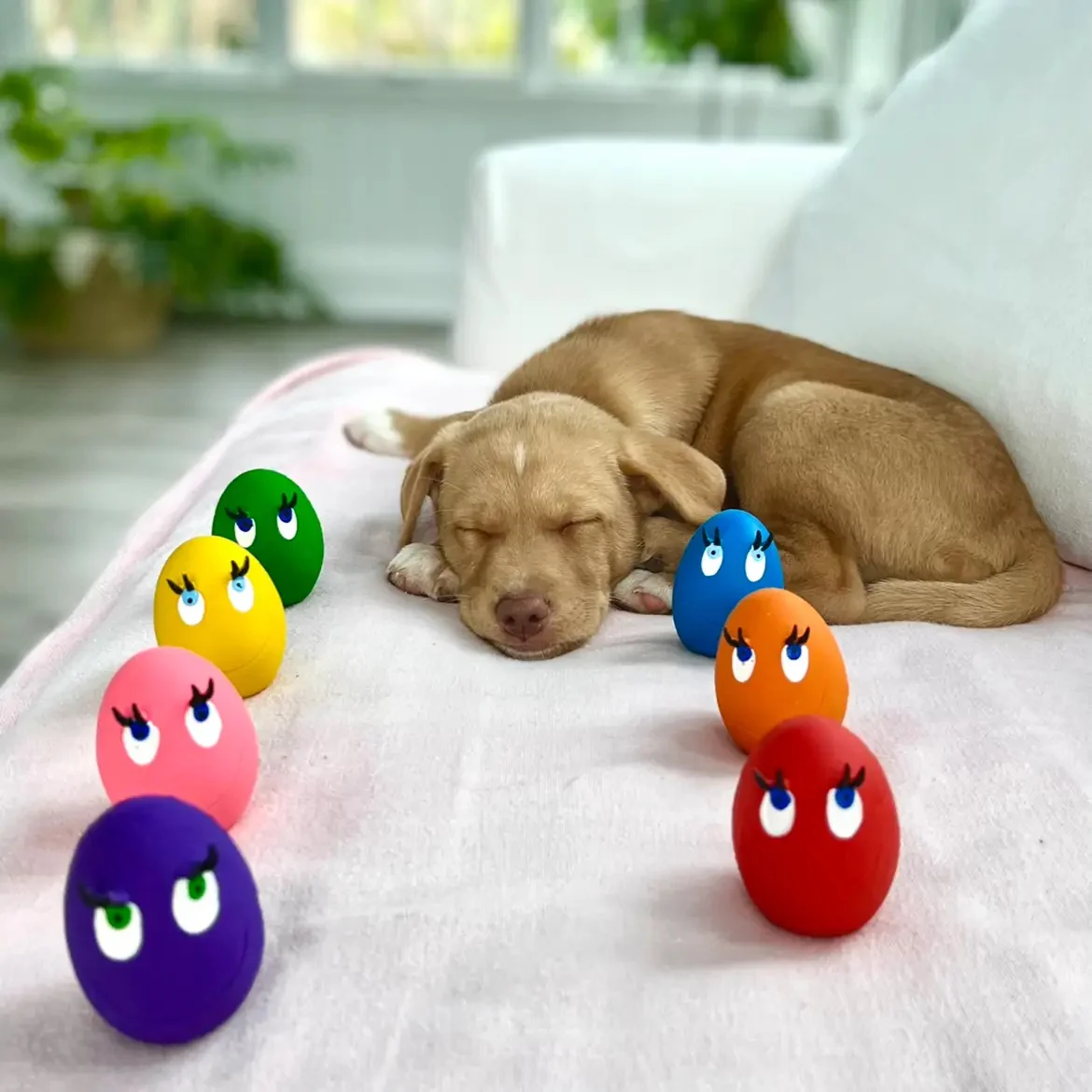 Squeaky Egg Dog Toy - Image 4
