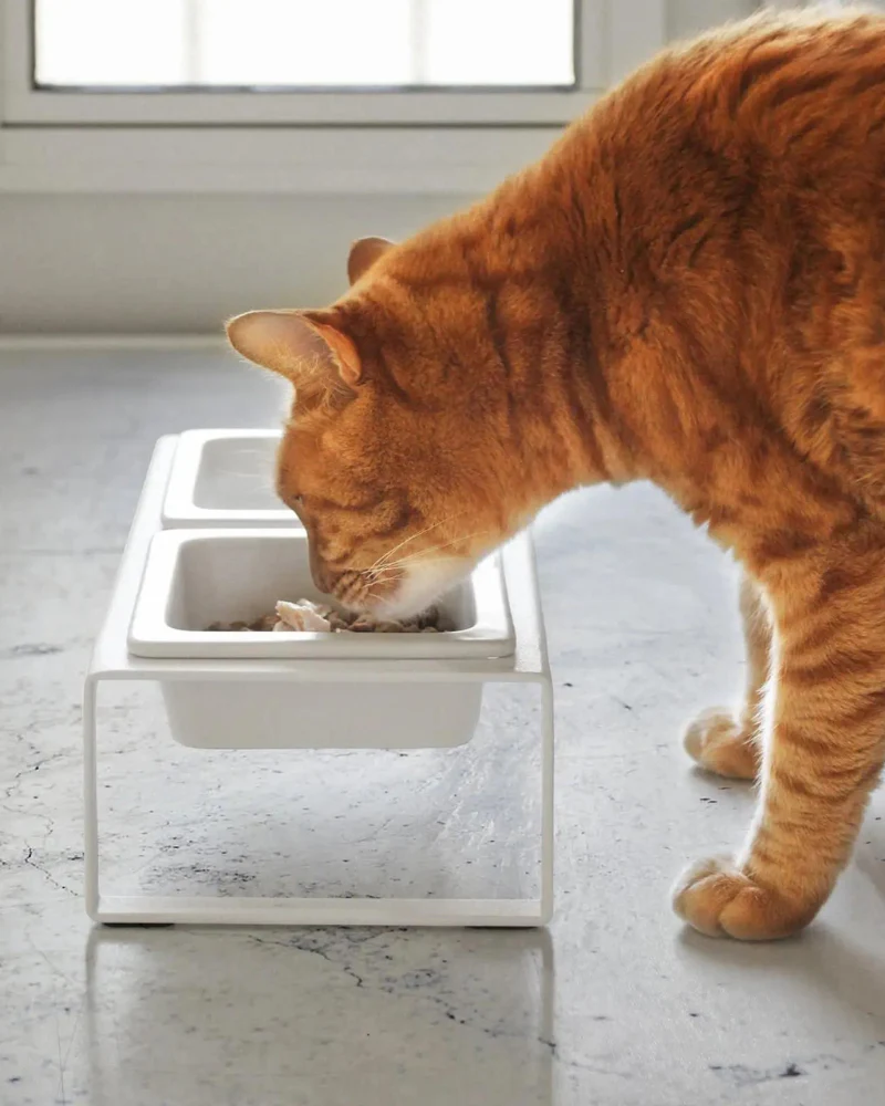 Tower Pet Food Bowl in White - Image 2