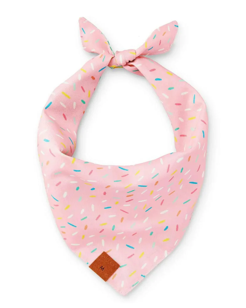 Yay Reversible Birthday Dog Bandana - Image 3