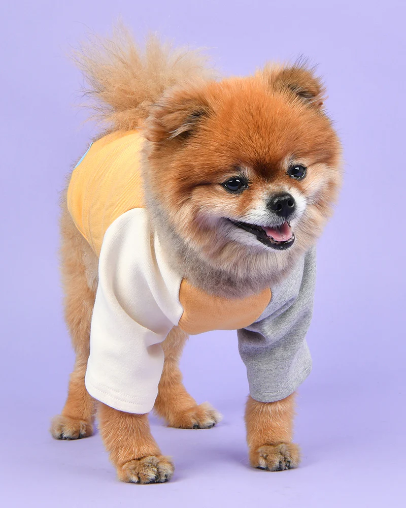Color Block Dog T-Shirt in Yellow