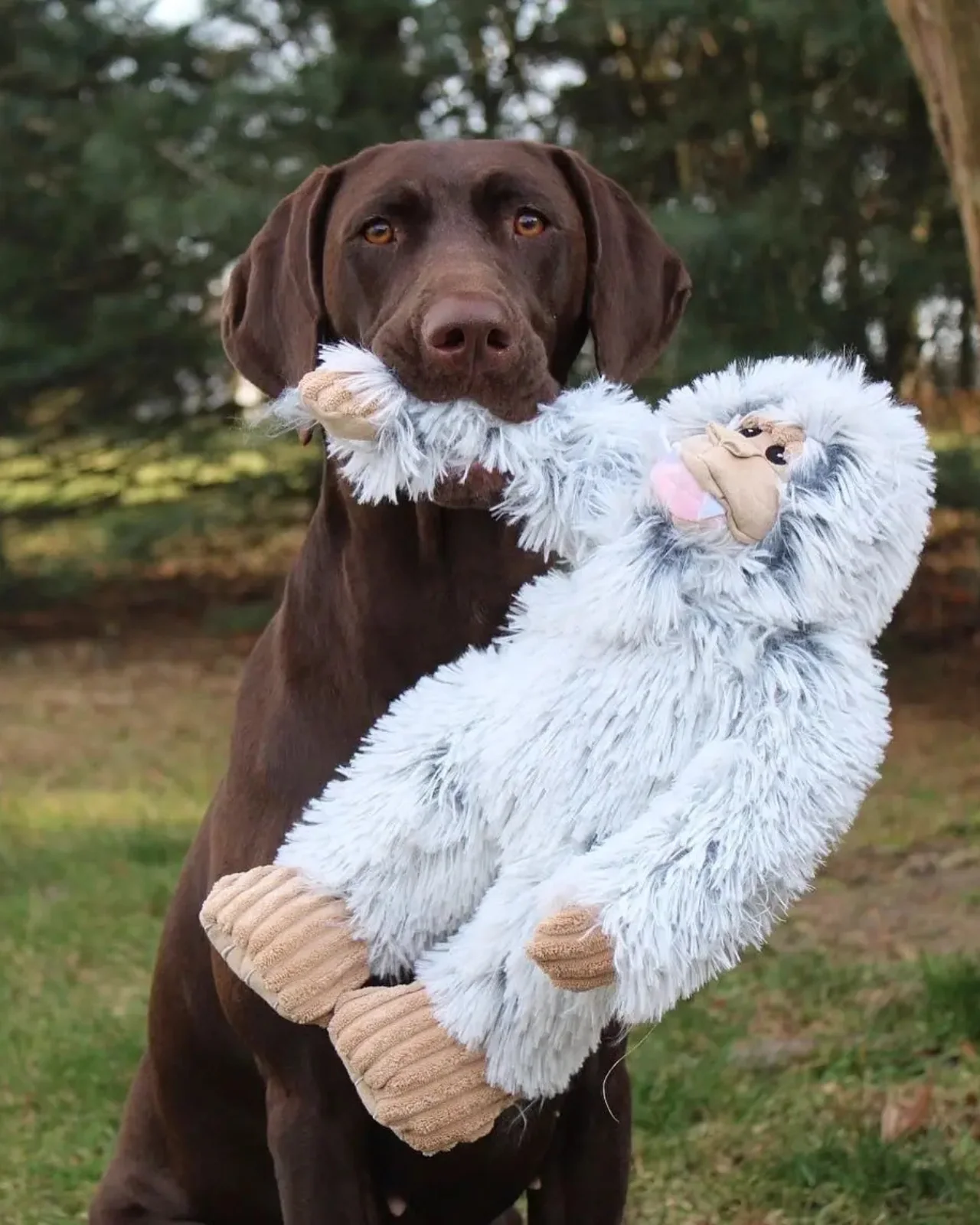 Yeti Squeaky Plush Dog Toy