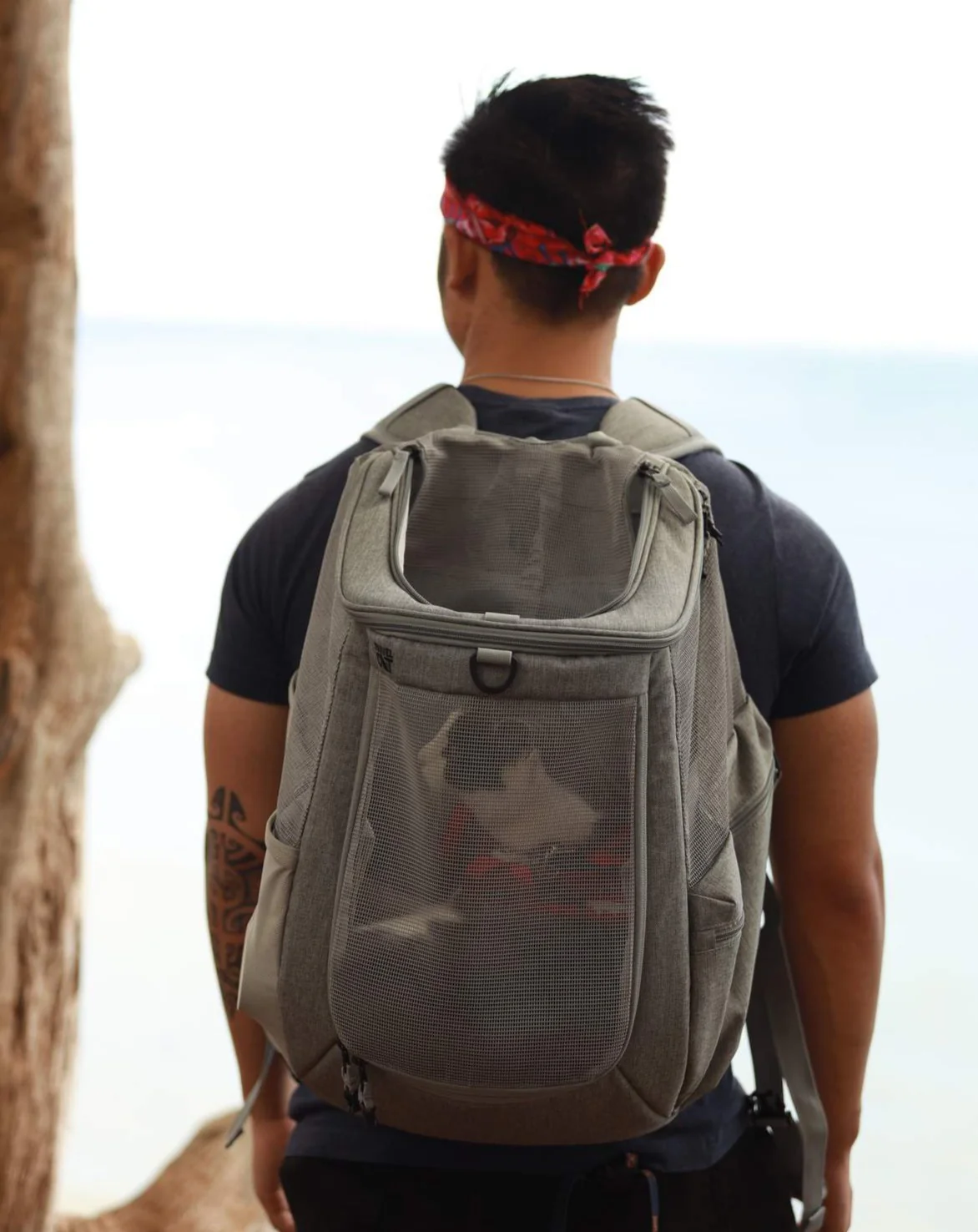 The Navigator Convertible Cat & Small Dog Backpack