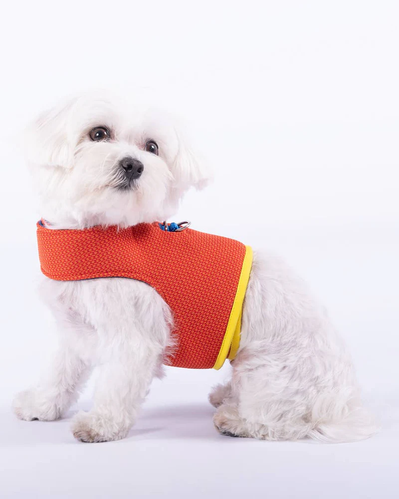 Yuki Mesh Dog Harness in Orange (Made in Spain) (FINAL SALE)