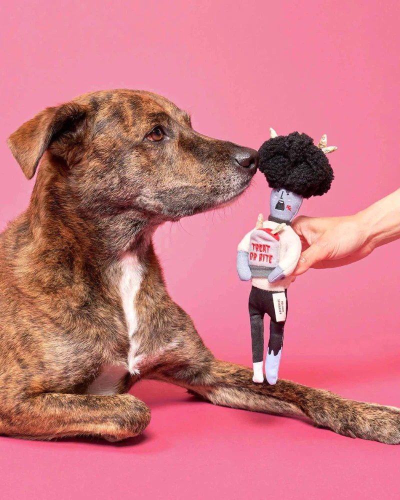 Zombie Nosework Dog Toy - Image 4