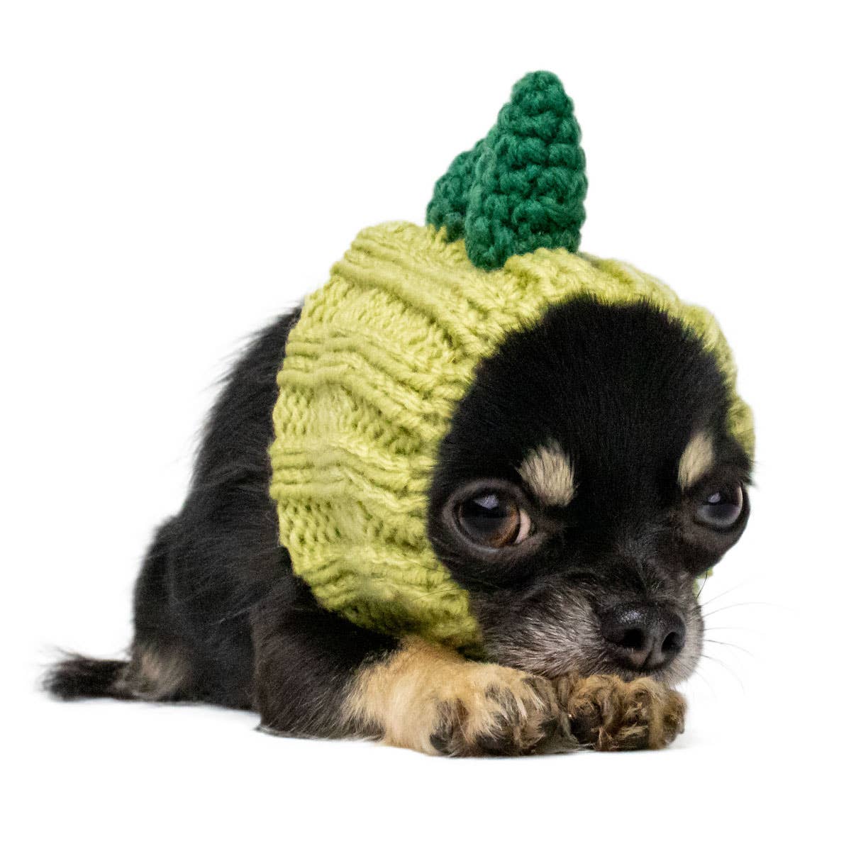 Knit Dinosaur Dog Snood (FINAL SALE) - Image 7