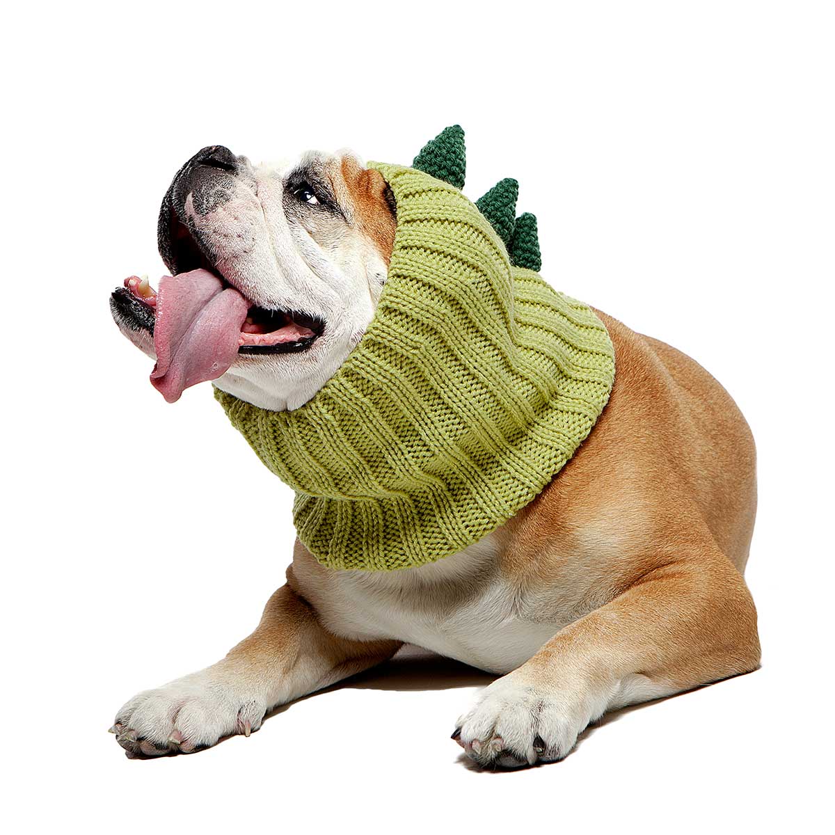 Knit Dinosaur Dog Snood (FINAL SALE) - Image 9