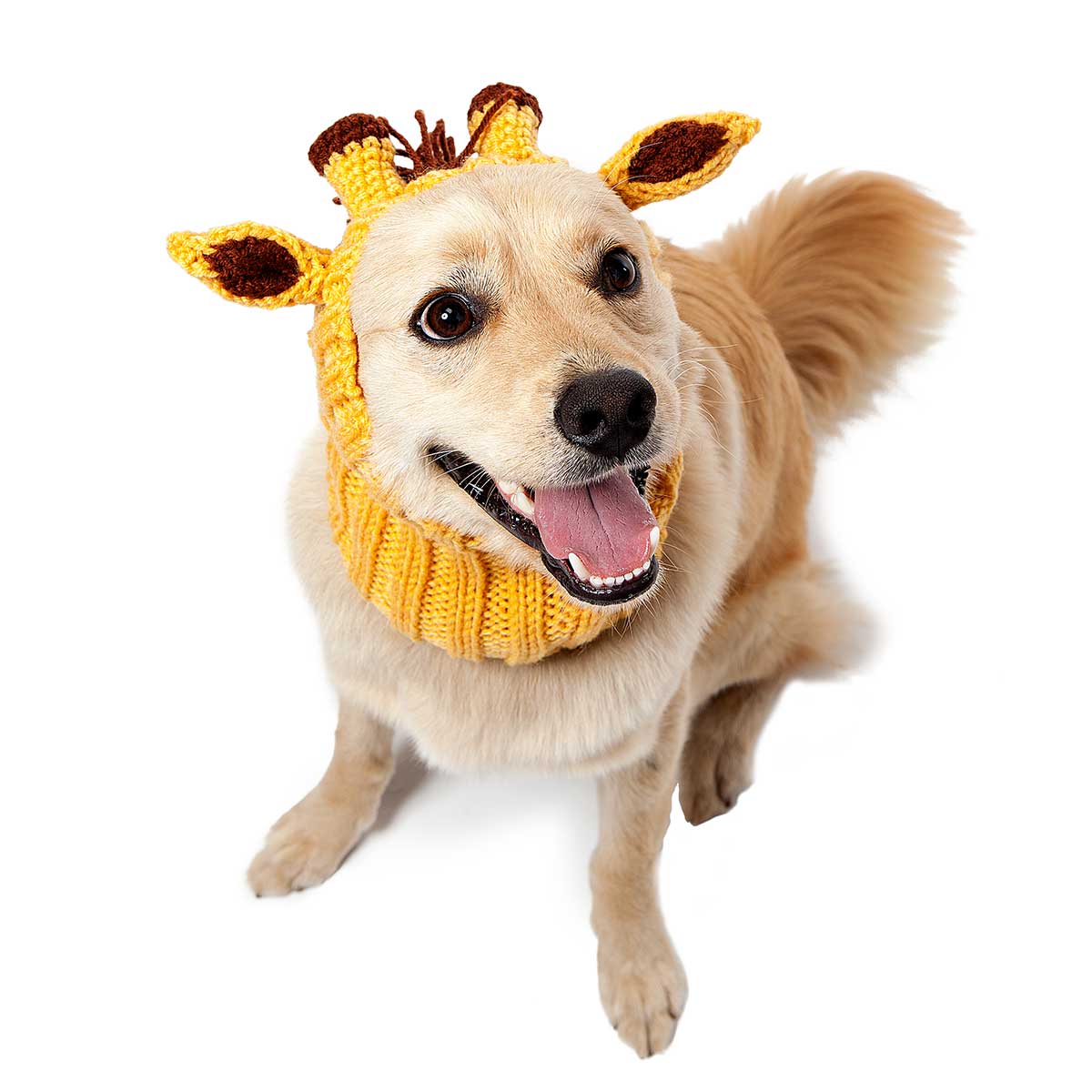Knit Giraffe Dog Snood (FINAL SALE) - Image 7